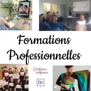 Formations Professionnelles